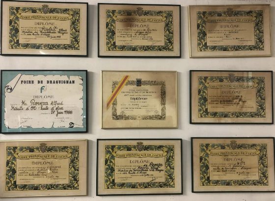 Diplômes et médailles obtenus par l'huile du moulin Rovera